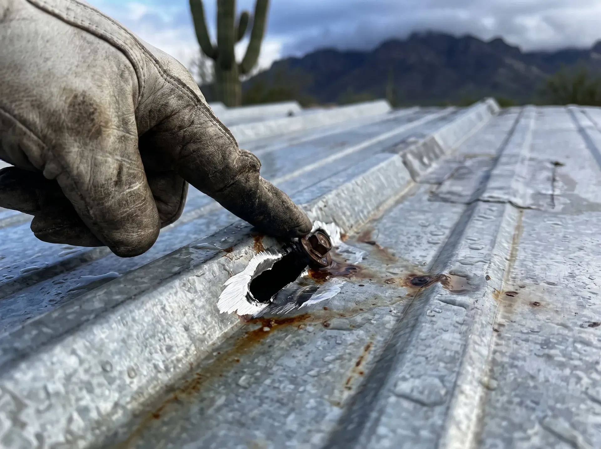 Fastener hole torn into an oval slot by wind loading on a metal roof panel