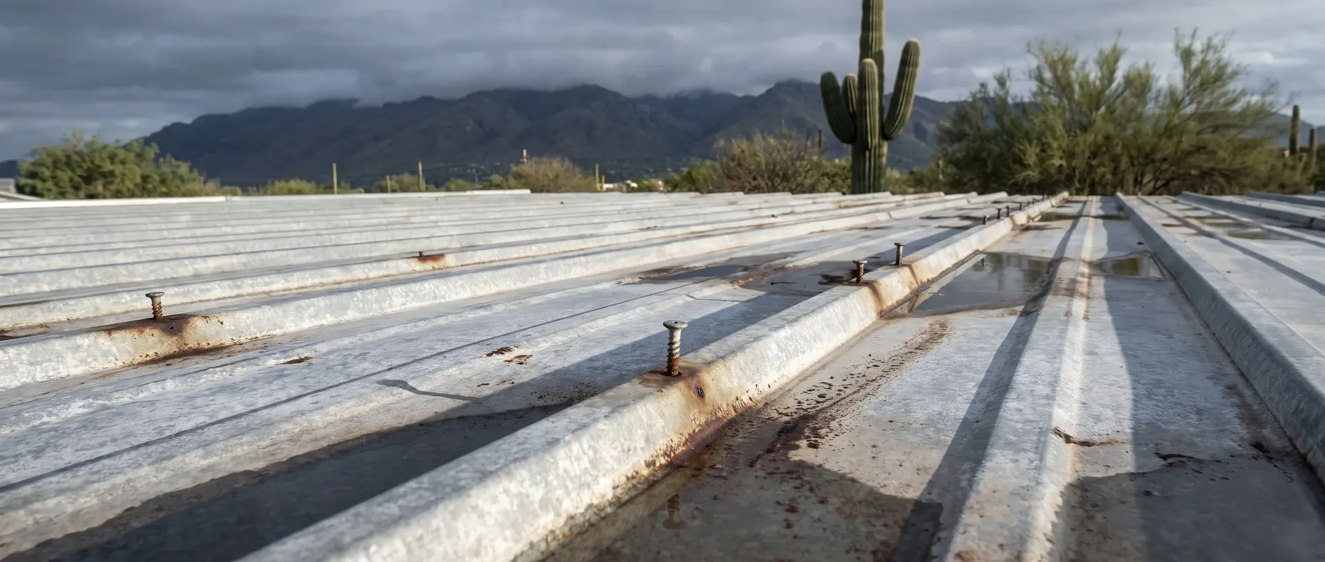 Long run of exposed fastener metal roofing in Tucson with screws standing proud of the panel